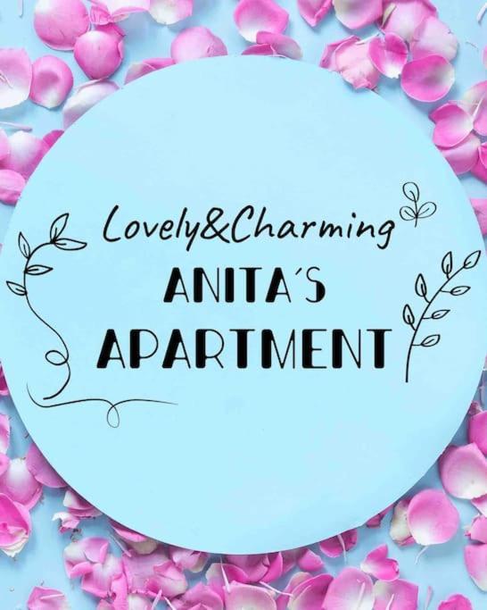 Lovely&Charming Anita'S Apartment Ponta Delgada المظهر الخارجي الصورة