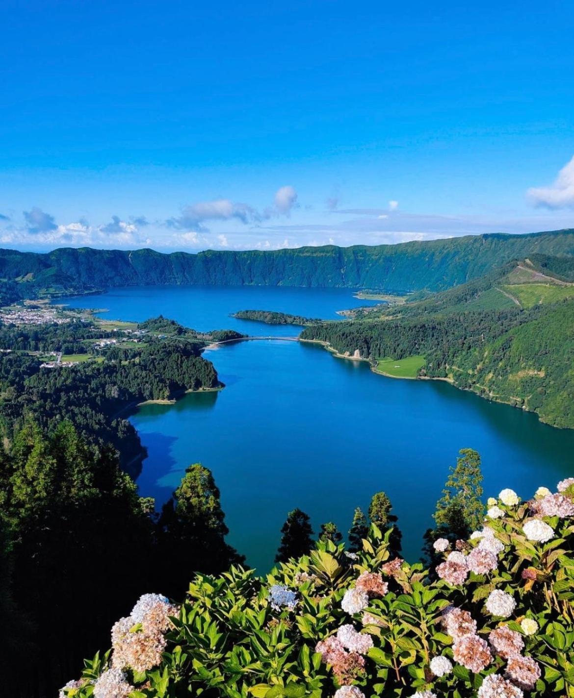Lovely&Charming Anita'S Apartment Ponta Delgada المظهر الخارجي الصورة